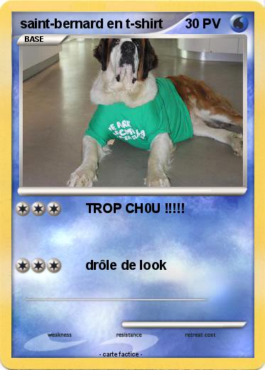 Pokemon saint-bernard en t-shirt