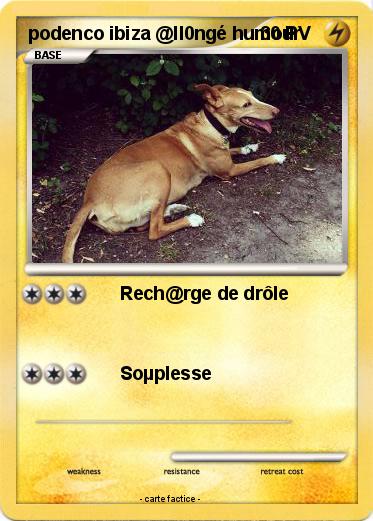 Pokemon podenco ibiza @ll0ngé humour