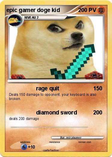 Pokemon epic gamer doge kid