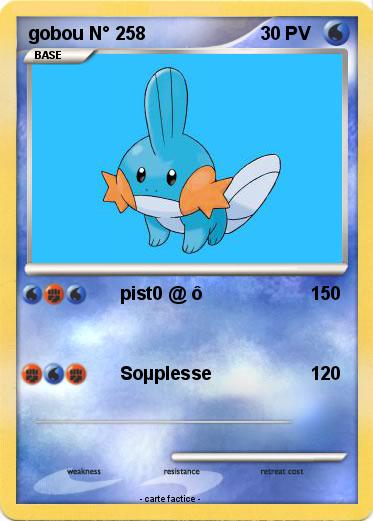 Pokemon gobou N° 258