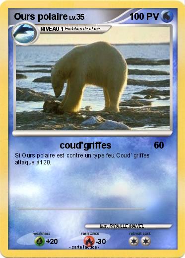 Pokemon Ours polaire