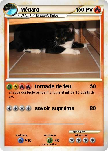 Pokemon Médard
