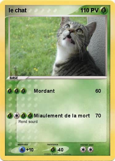 Pokemon le chat