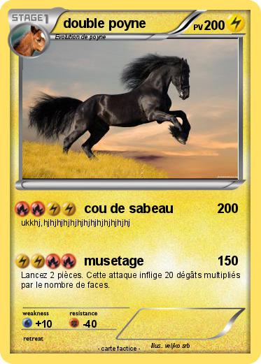 Pokemon double poyne