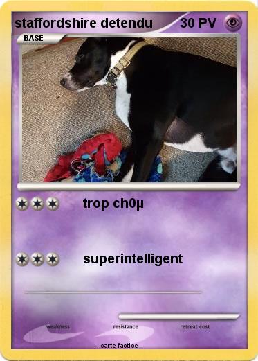 Pokemon staffordshire detendu