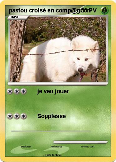 Pokemon pastou croisé en comp@gnon