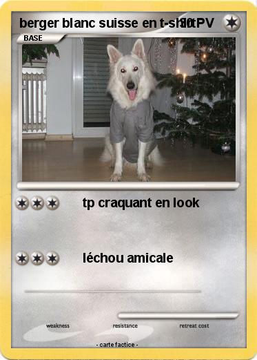 Pokemon berger blanc suisse en t-shirt