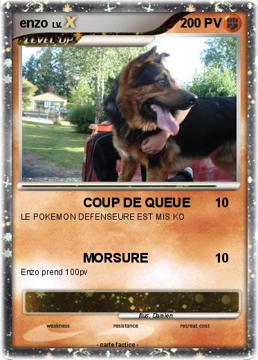 Pokemon enzo