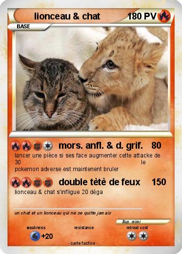 Pokemon lionceau & chat