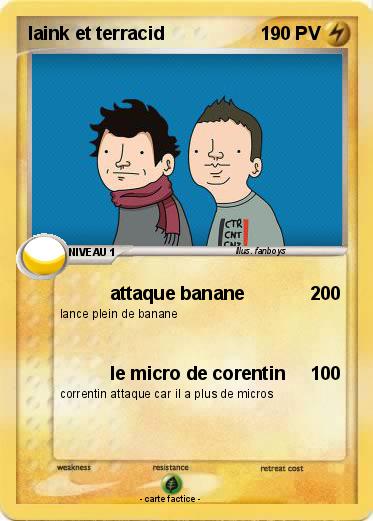 Pokemon laink et terracid