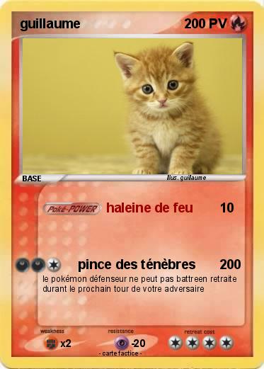 Pokemon guillaume
