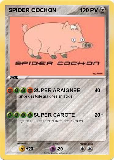Pokemon SPIDER COCHON