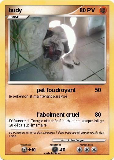 Pokemon budy
