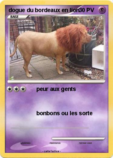 Pokemon dogue du bordeaux en lion