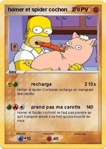 Pokemon homer et spider cochon   2 
