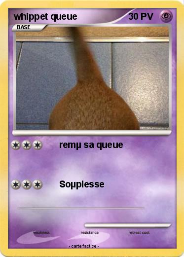 Pokemon whippet queue