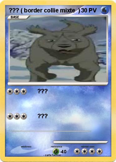 Pokemon ??? ( border collie mixte  )
