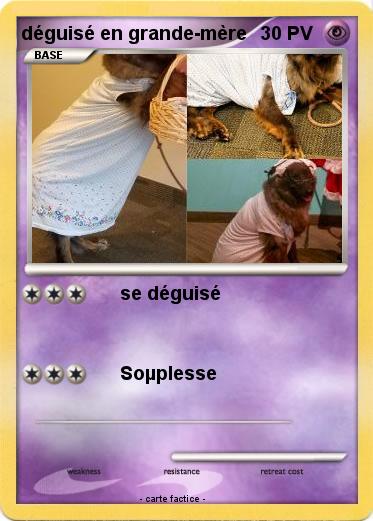 Pokemon déguisé en grande-mère