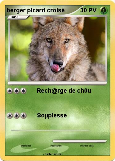 Pokemon berger picard croisé