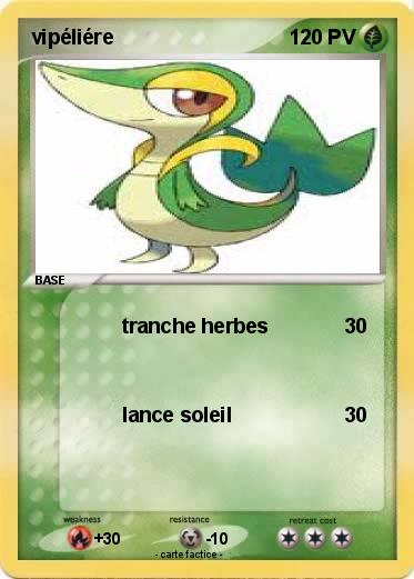 Pokemon vipéliére