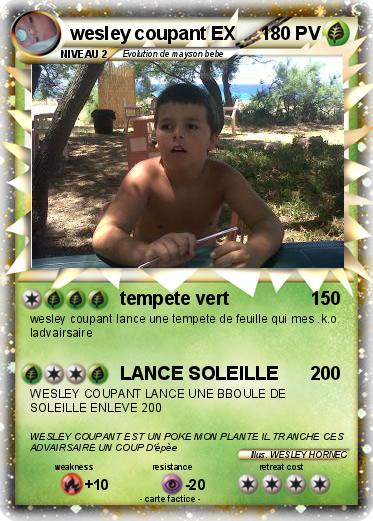 Pokemon wesley coupant EX
