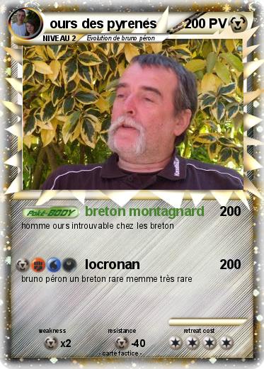 Pokemon ours des pyrenes