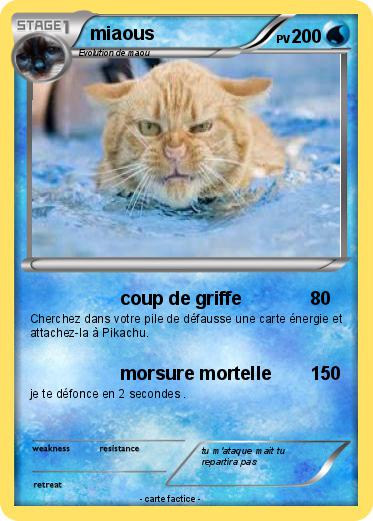 Pokemon miaous