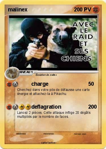 Pokemon malinex