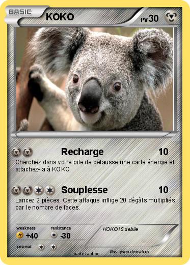 Pokemon KOKO