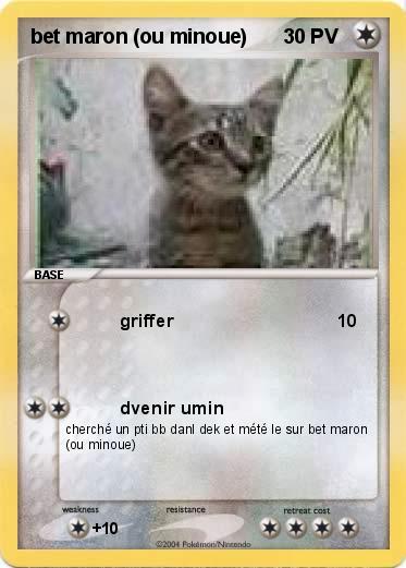 Pokemon bet maron (ou minoue)