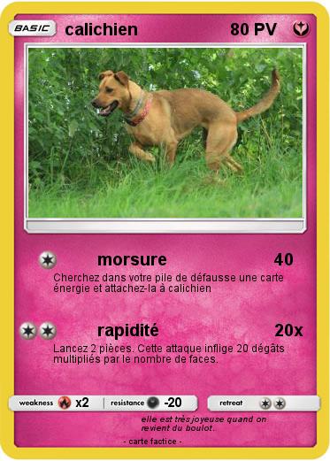 Pokemon calichien