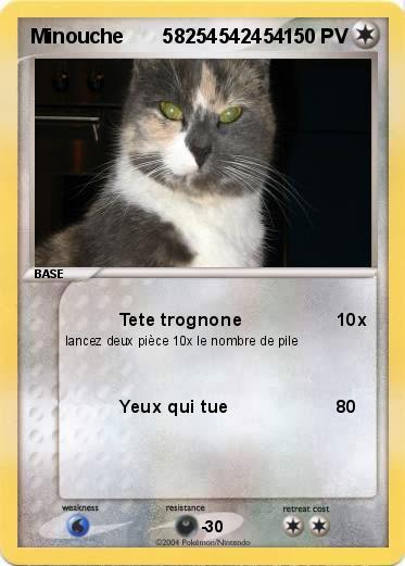 Pokemon Minouche       58254542454