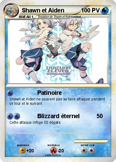 Pokemon Shawn et Aiden