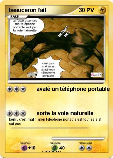 Pokemon beauceron fail