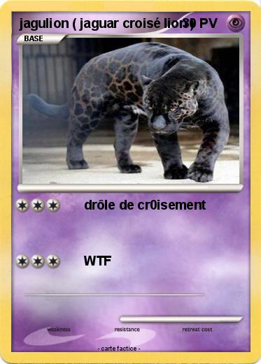 Pokemon jagulion ( jaguar croisé lion )