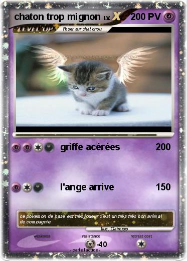 Pokemon chaton trop mignon
