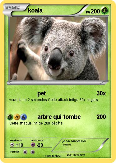 Pokemon koala