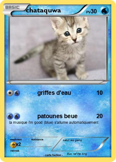 Pokemon chataquwa
