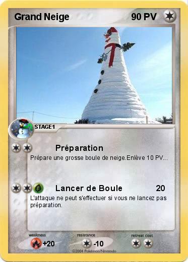Pokemon Grand Neige