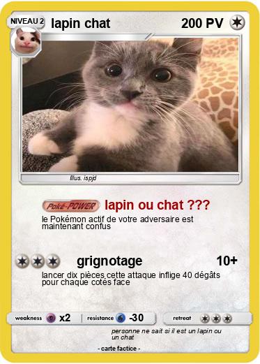 Pokemon lapin chat
