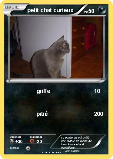 Pokemon petit chat curieux