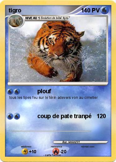 Pokemon tigro