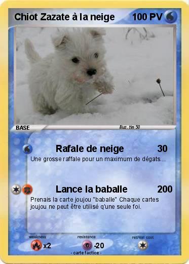 Pokemon Chiot Zazate à la neige