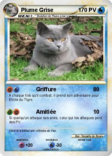 Pokemon Plume Grise