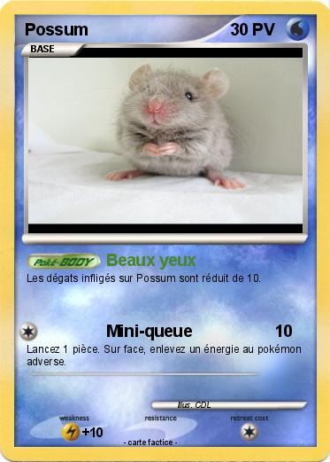 Pokemon Possum