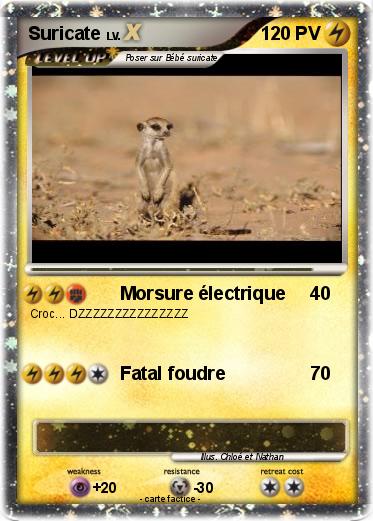 Pokemon Suricate
