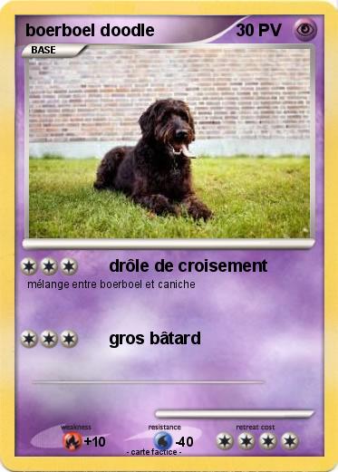 Pokemon boerboel doodle