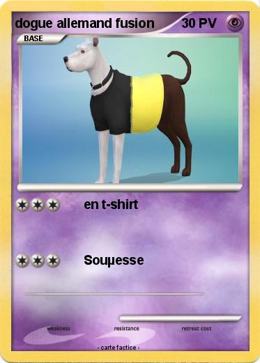 Pokemon dogue allemand fusion