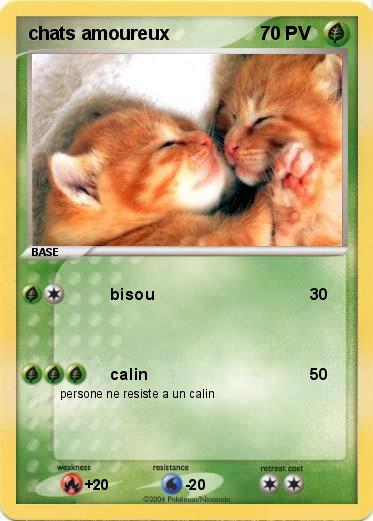 Pokemon chats amoureux