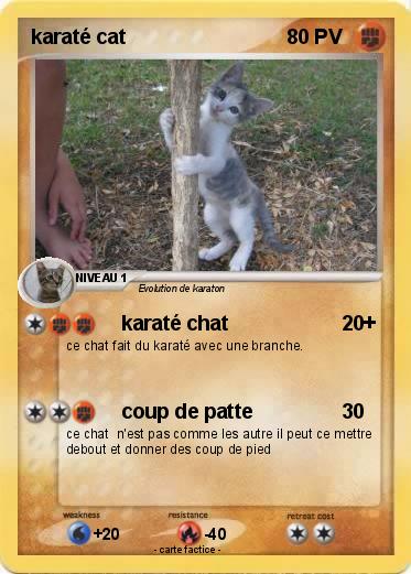 Pokemon karaté cat